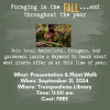 Foraging in the Fall...and throughout the year! image