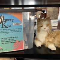 Memory Kits